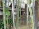 img0024.jpg