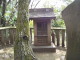 img0031.jpg