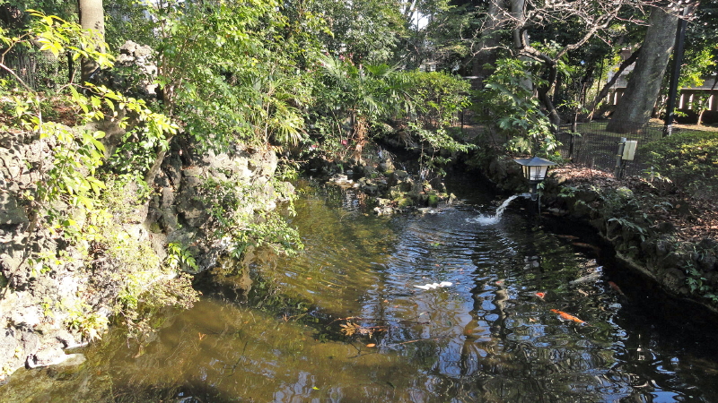 img0003.jpg
