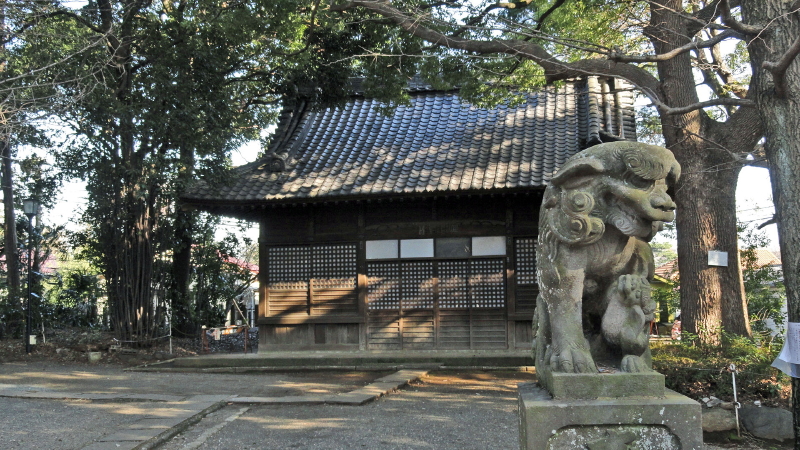 img0009.jpg