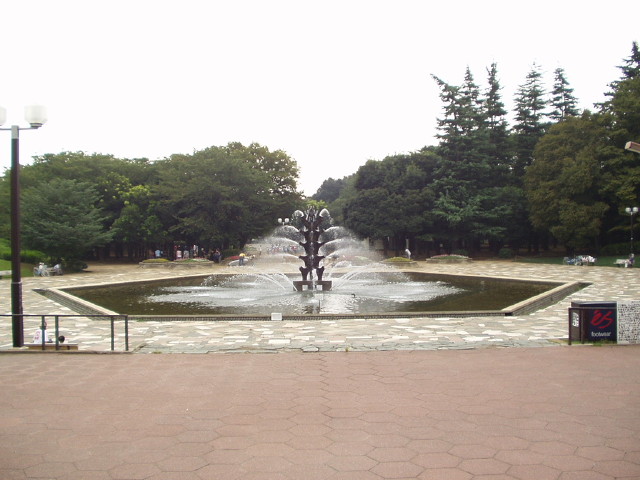 img0008.jpg