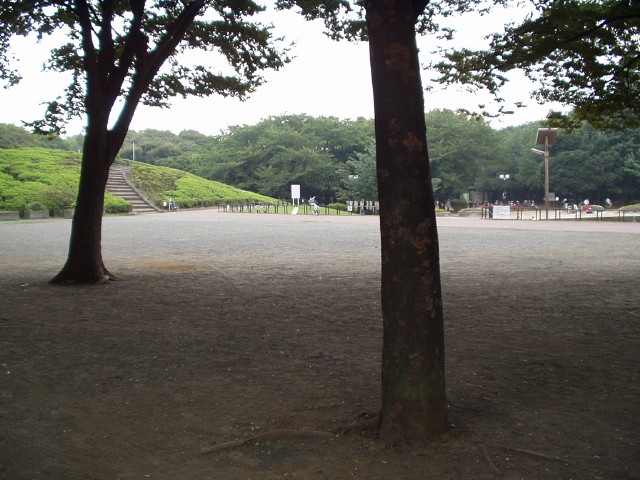 img0014.jpg