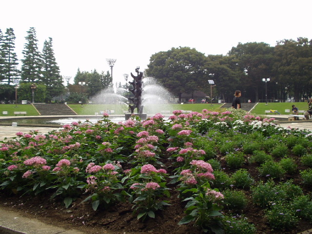 img0025.jpg