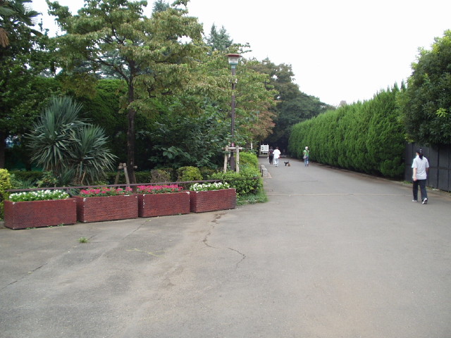 img0029.jpg