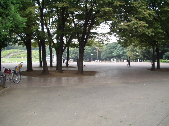 img0030.jpg