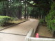 img0003.jpg