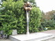 img0007.jpg