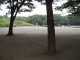 img0014.jpg