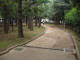 img0024.jpg