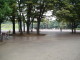 img0030.jpg