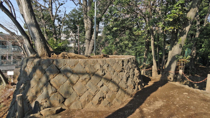img0009.jpg