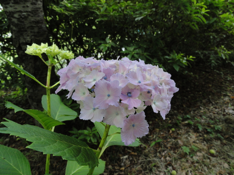 img0011.jpg