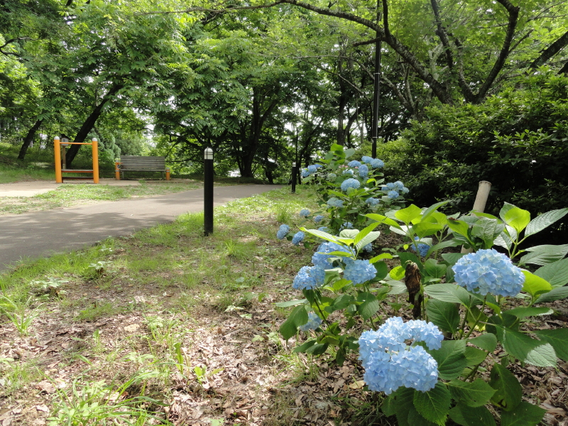img0014.jpg
