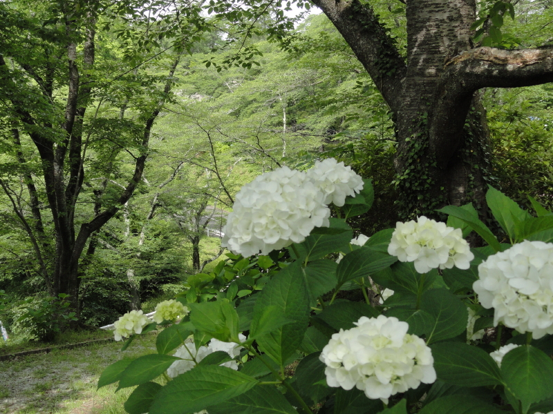 img0016.jpg