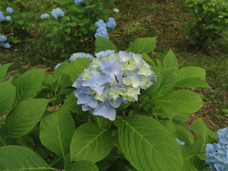 img0018.jpg