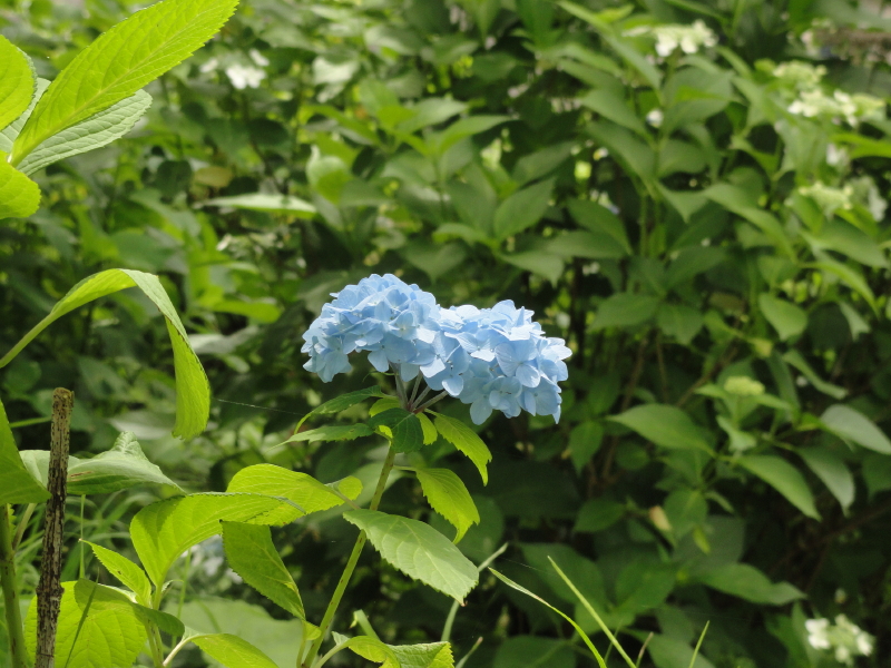 img0019.jpg