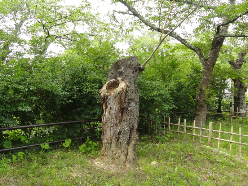img0022.jpg