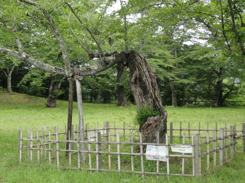 img0028.jpg