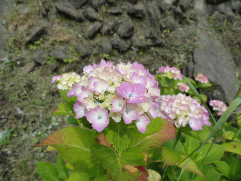 img0034.jpg