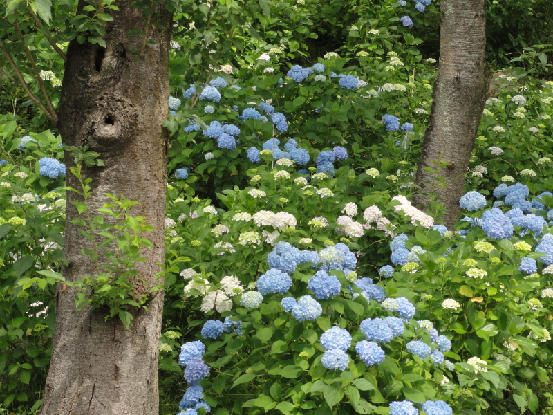 img0039.jpg