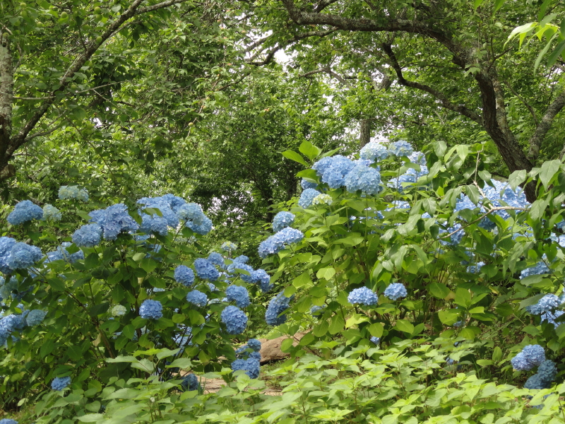 img0040.jpg