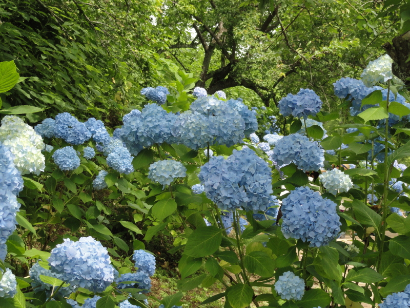 img0041.jpg