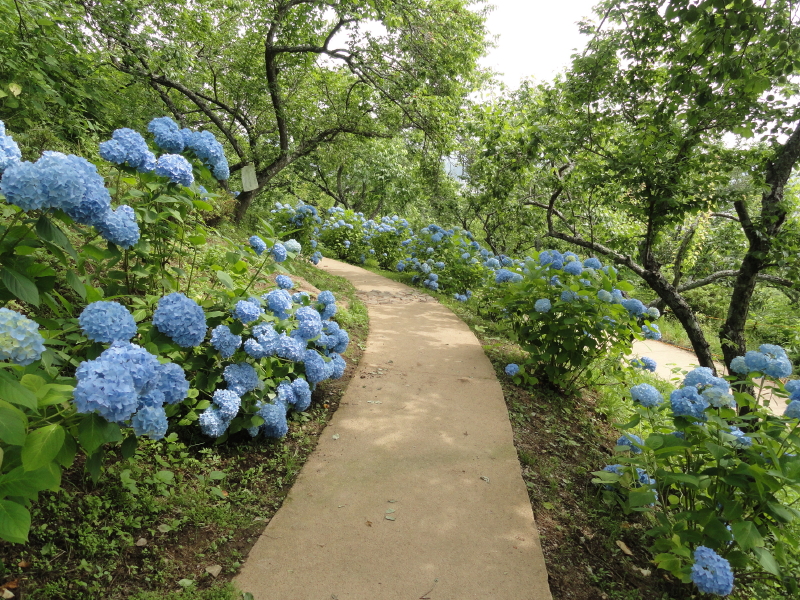 img0042.jpg