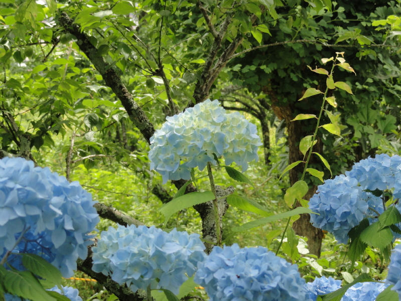 img0047.jpg