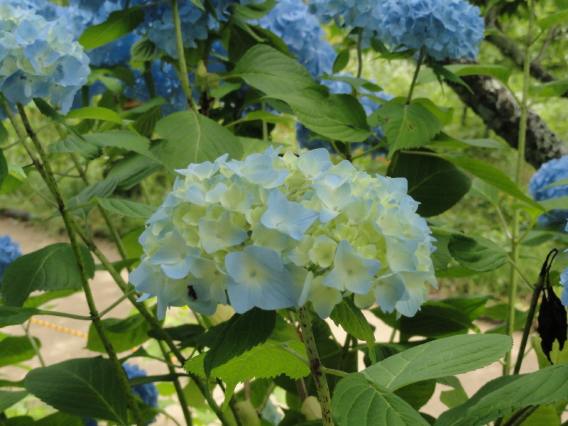 img0048.jpg
