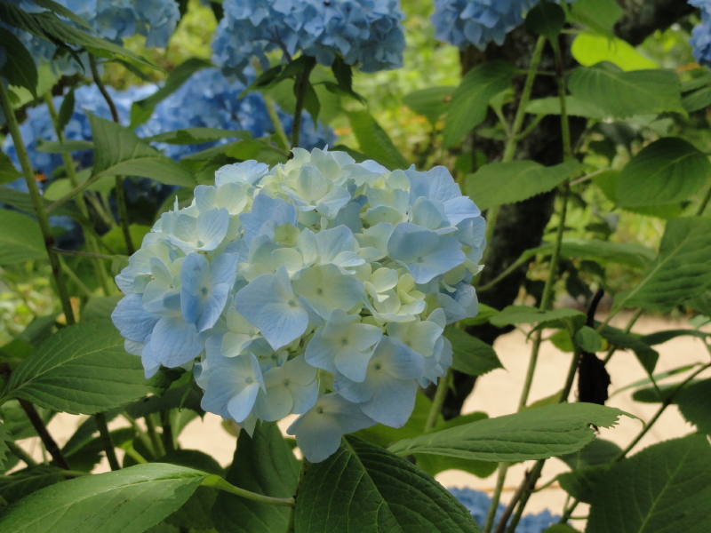 img0049.jpg