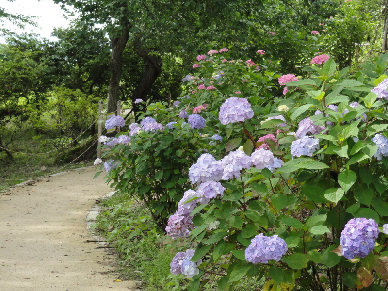 img0054.jpg