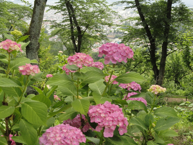 img0058.jpg
