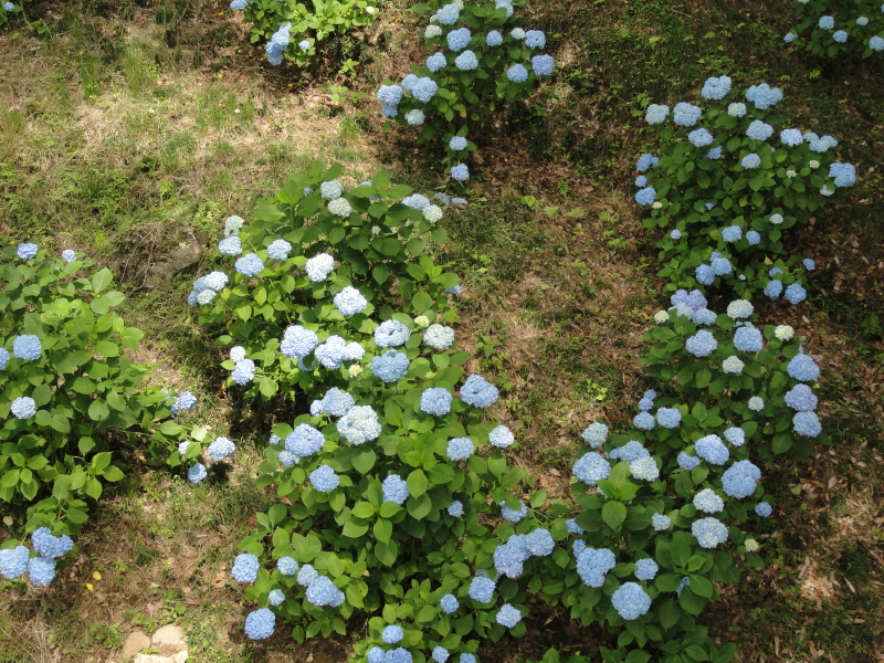 img0064.jpg