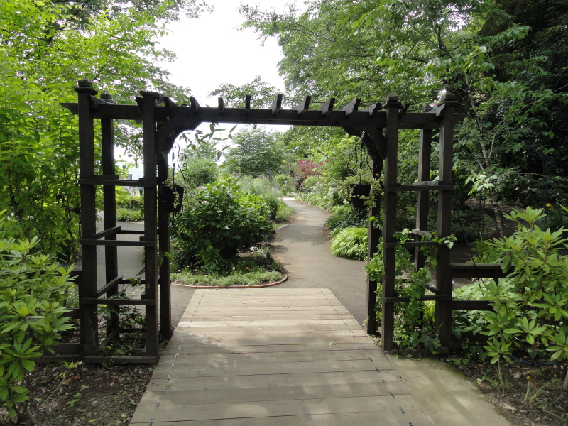 img0067.jpg