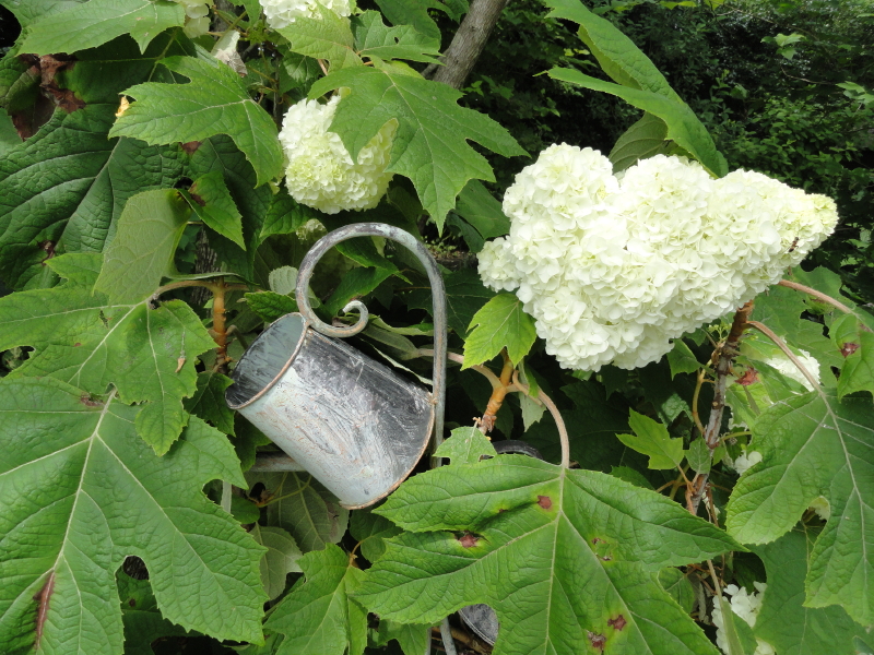 img0072.jpg