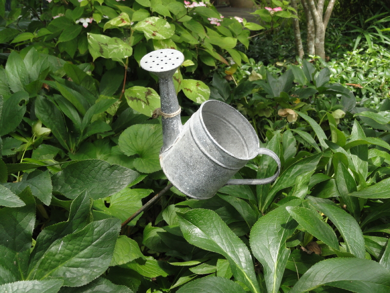 img0074.jpg