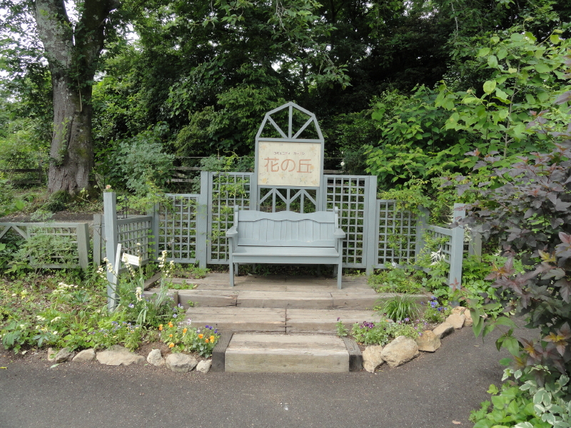img0077.jpg