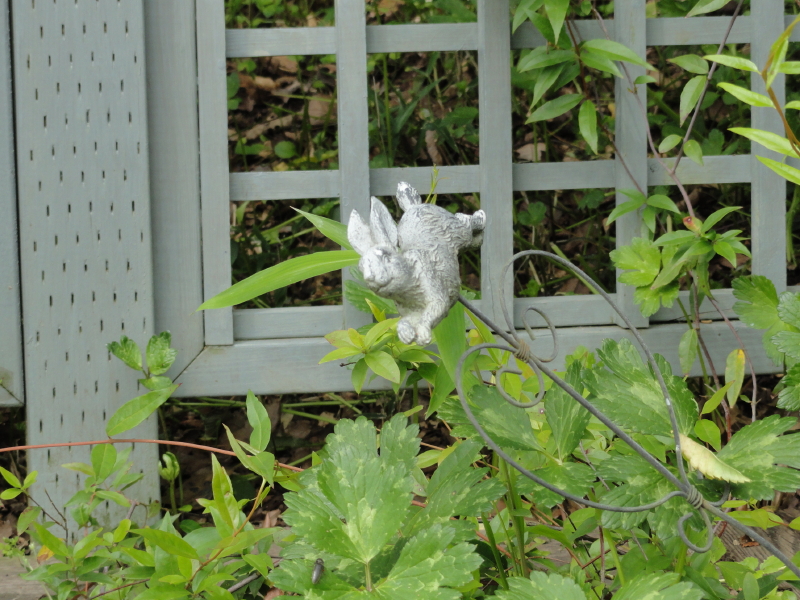 img0079.jpg