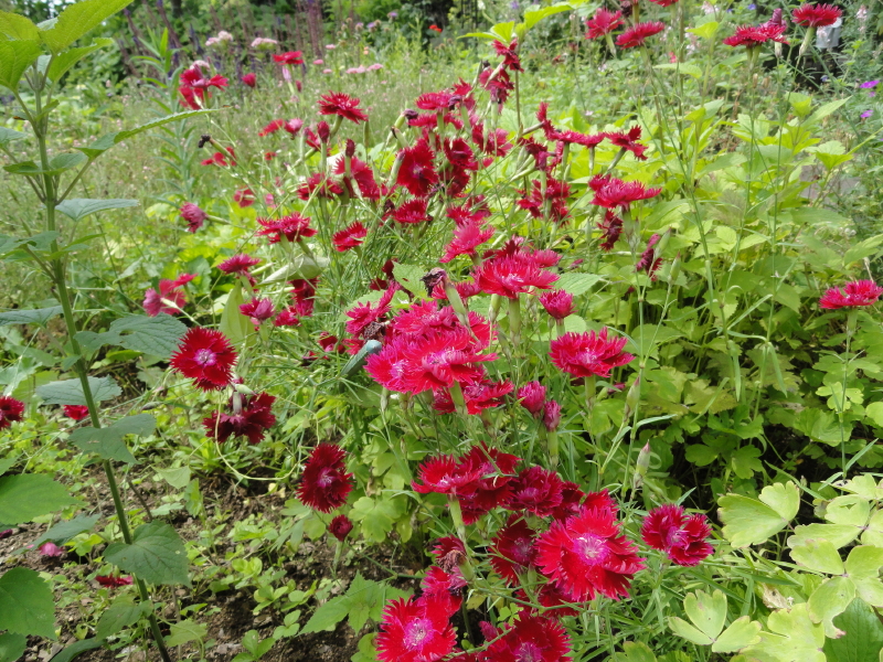 img0083.jpg