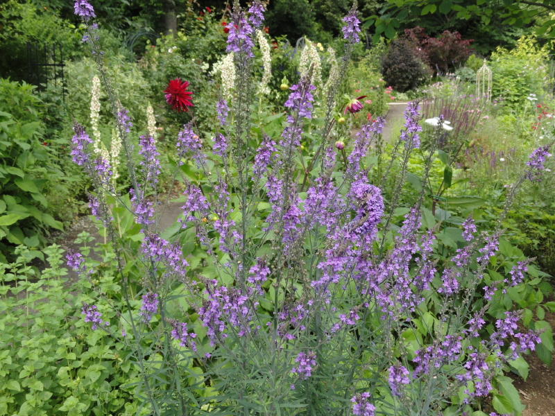 img0087.jpg