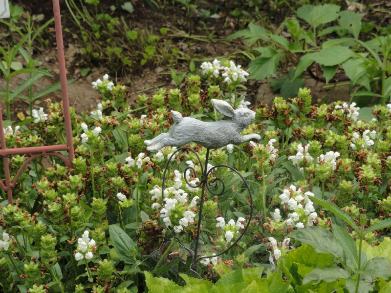 img0099.jpg