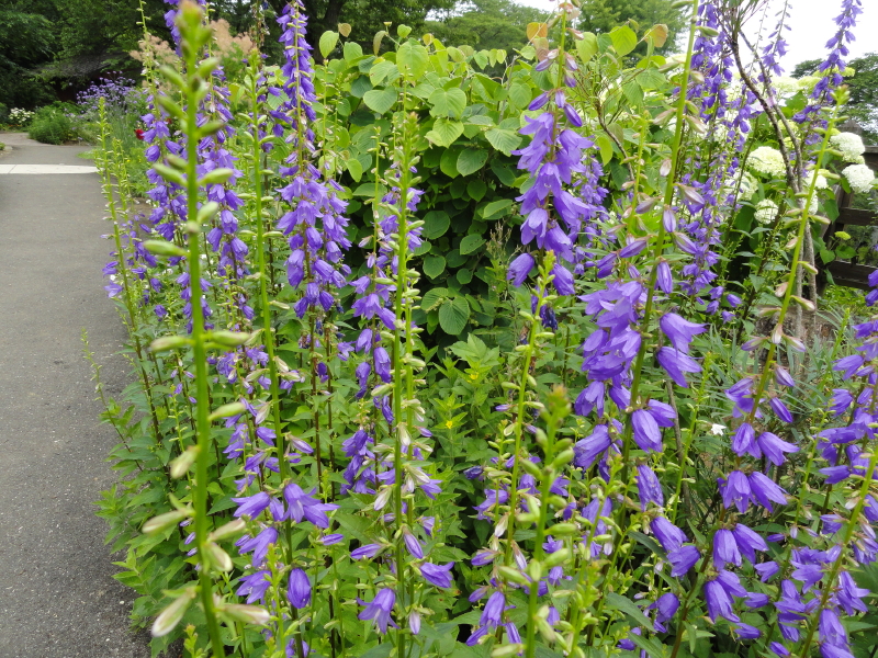 img0104.jpg