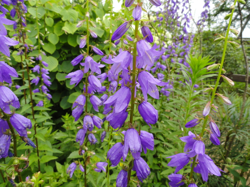 img0105.jpg