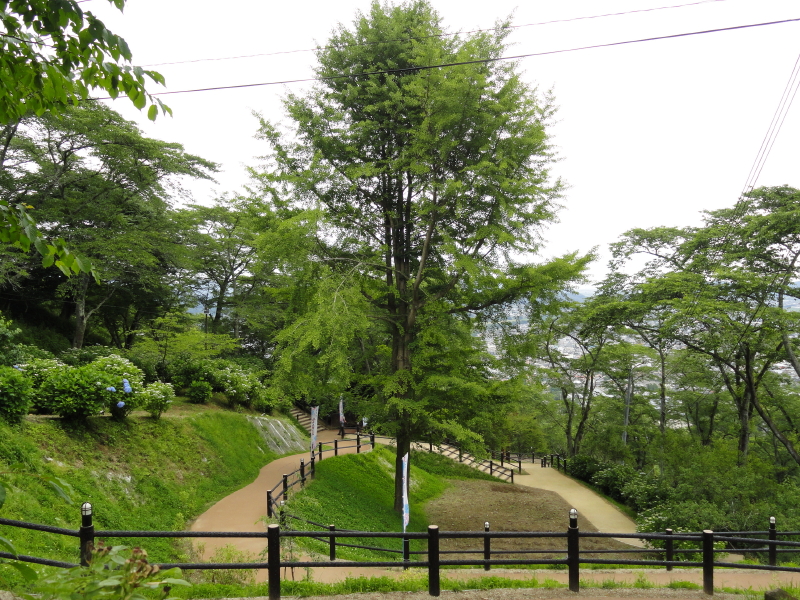 img0119.jpg