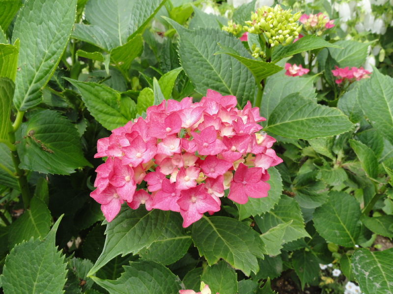 img0120.jpg