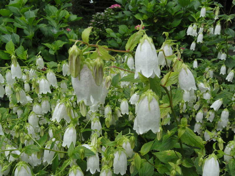 img0121.jpg
