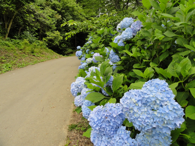 img0125.jpg
