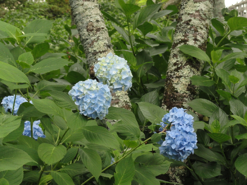 img0126.jpg