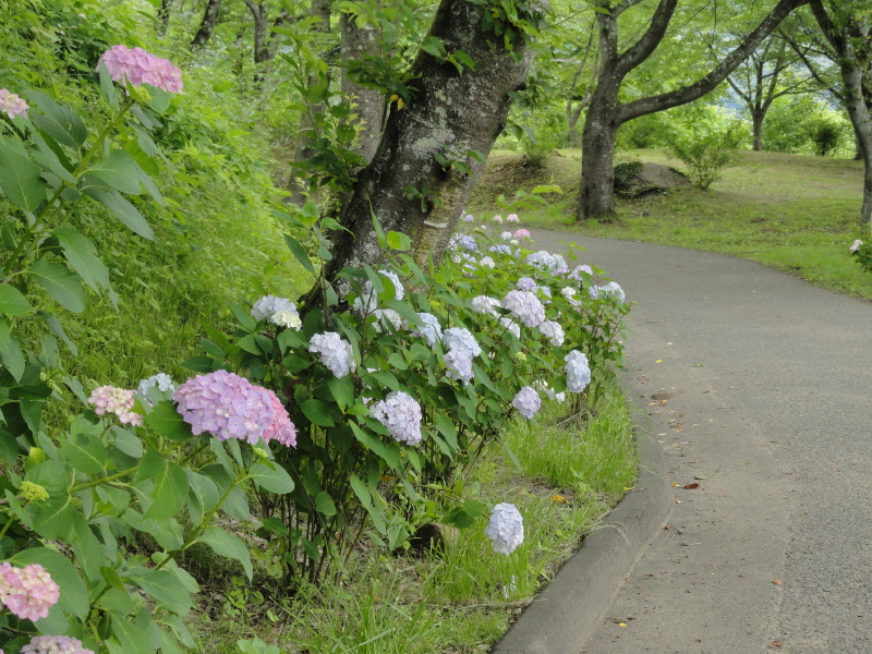 img0150.jpg