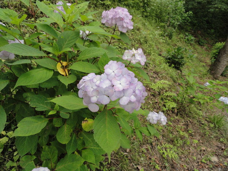 img0152.jpg